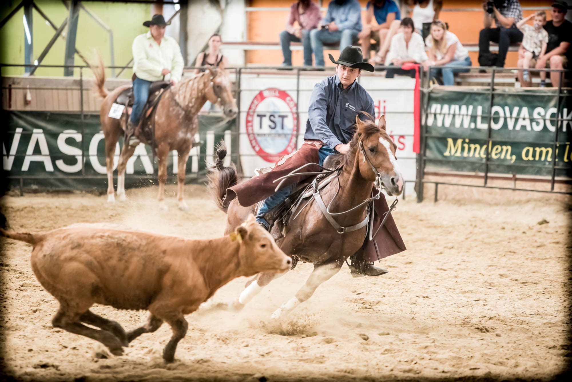 Kőhalmi Kálmán fotográfus fotográfus vizsgaremek 