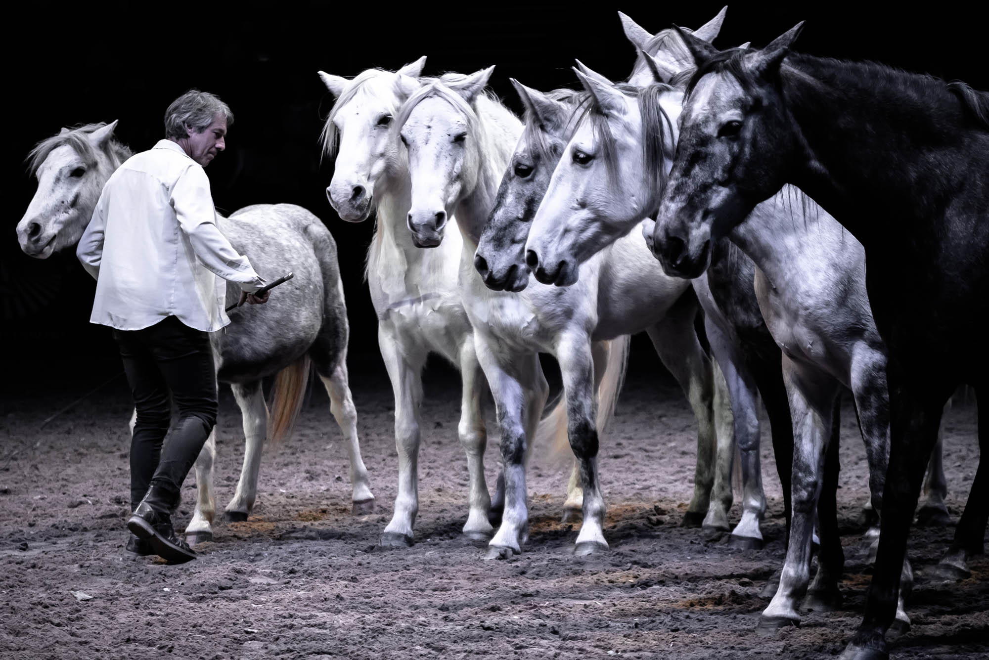 Kőhalmi Kálmán fotográfus fotográfus vizsgaremek 