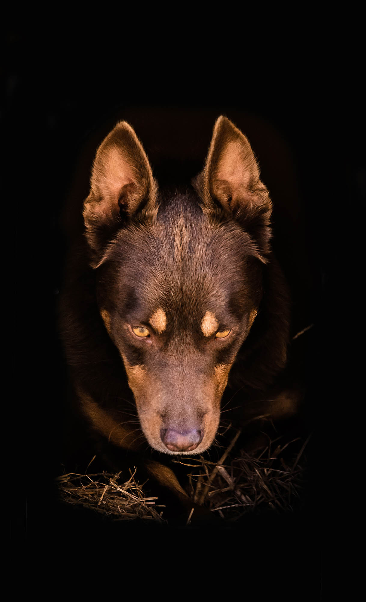 Kőhalmi Kálmán fotográfus fotográfus vizsgaremek 