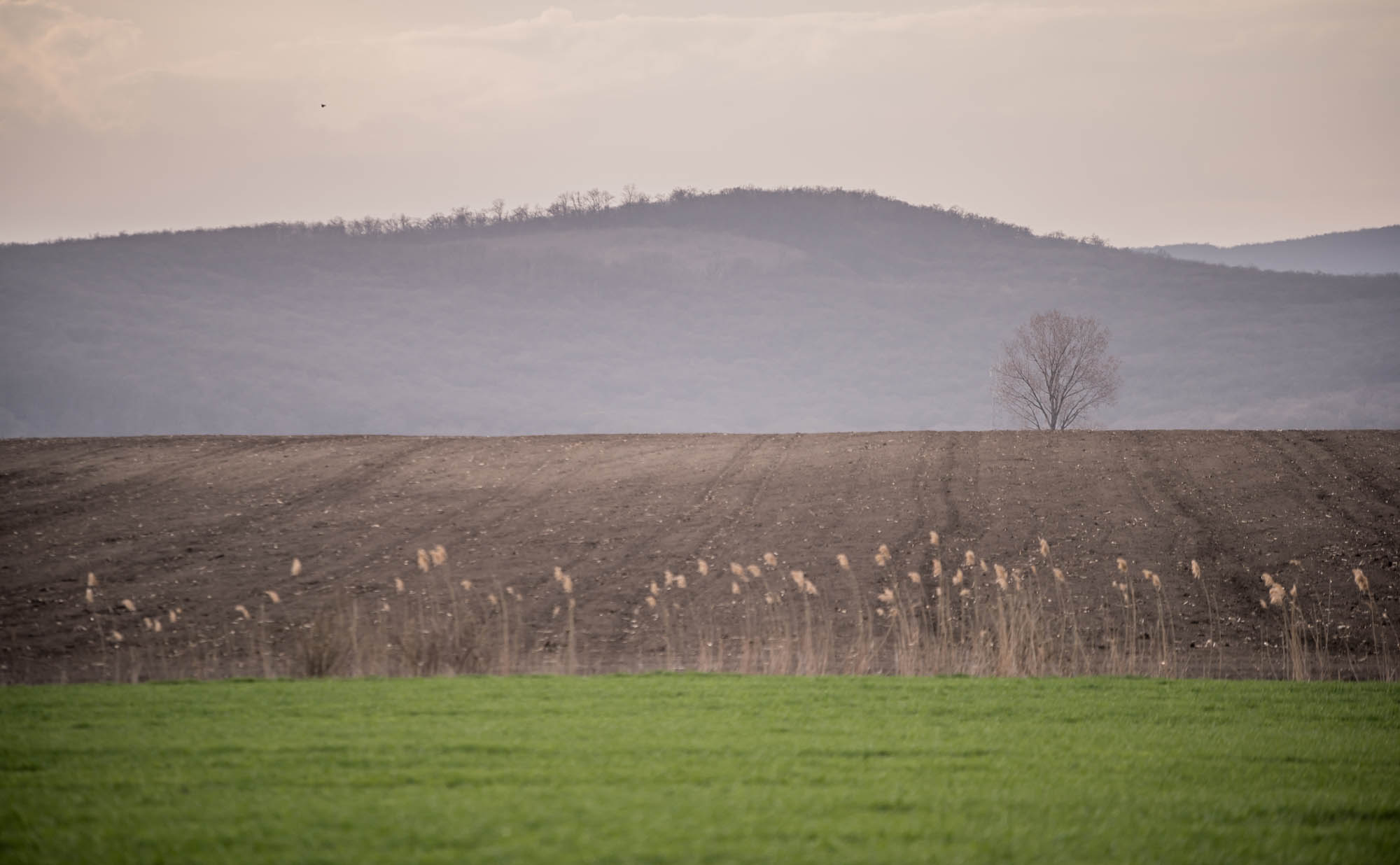 Kőhalmi Kálmán fotográfus fotográfus vizsgaremek 