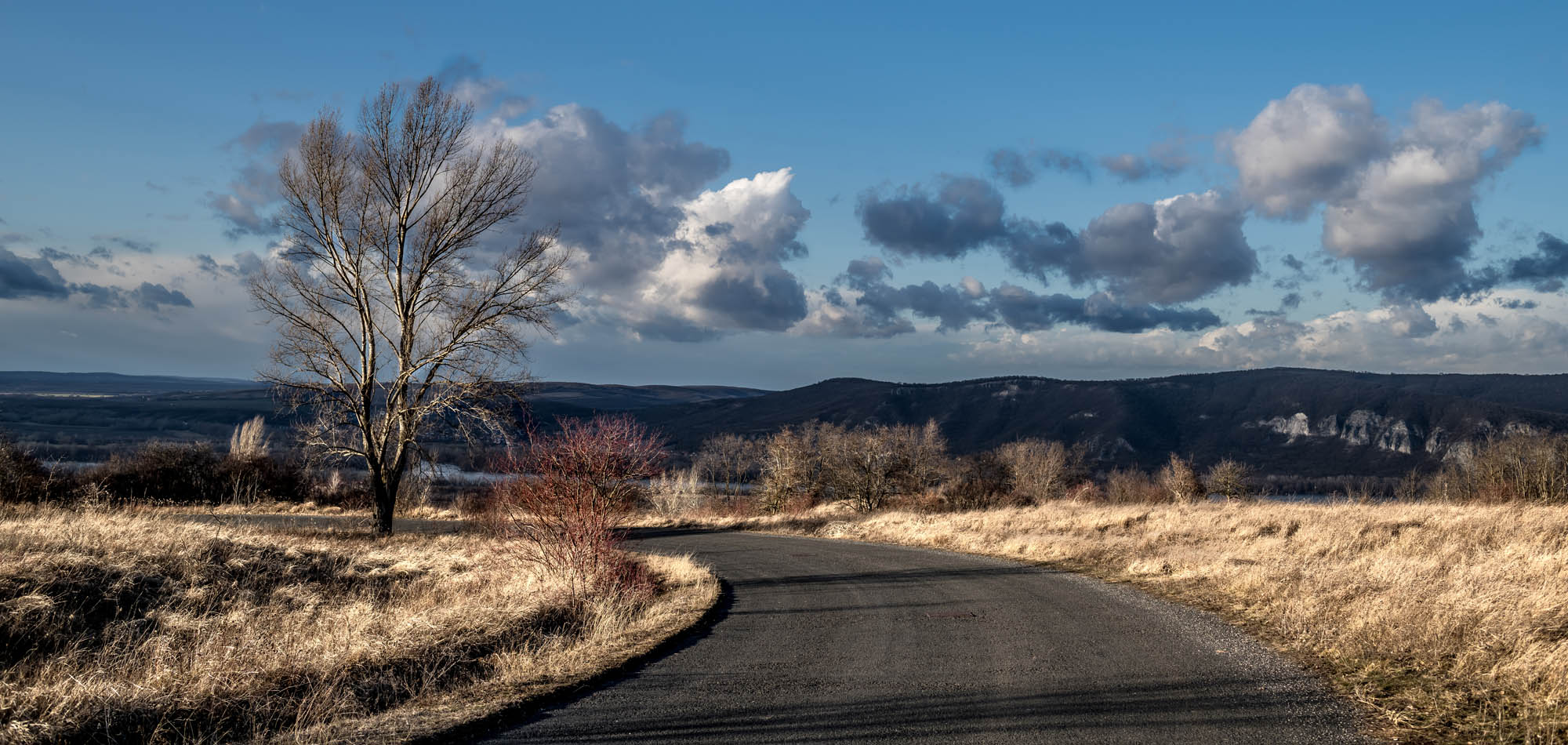Kőhalmi Kálmán fotográfus fotográfus vizsgaremek 