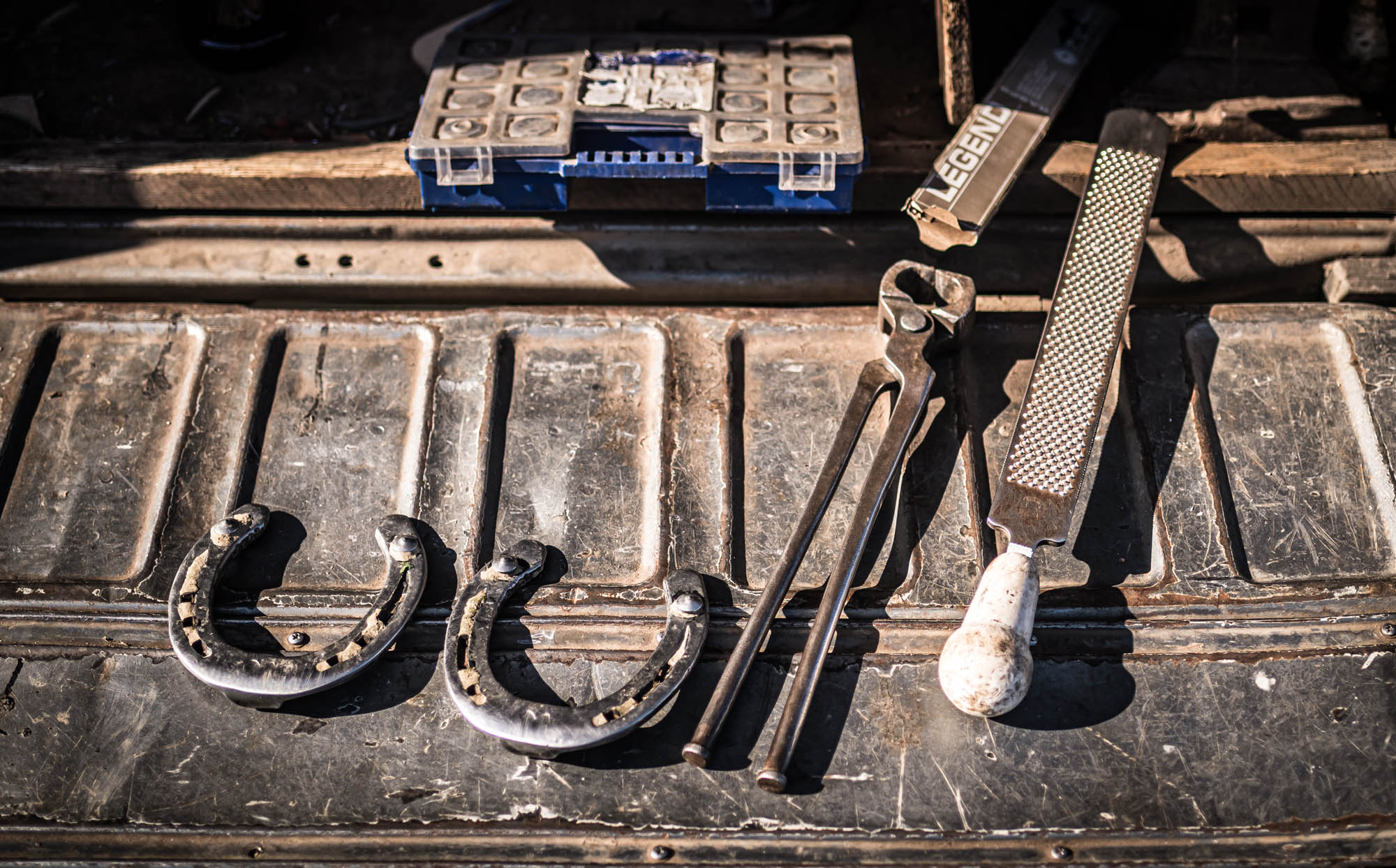 Kőhalmi Kálmán fotográfus fotográfus vizsgaremek 