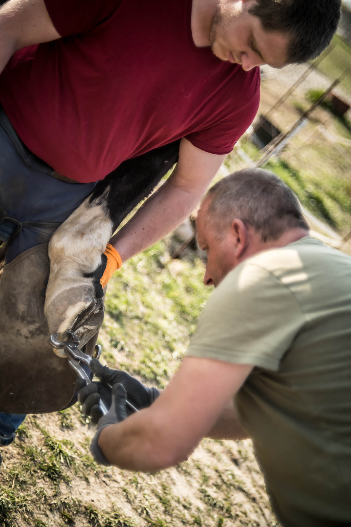 Kőhalmi Kálmán fotográfus fotográfus vizsgaremek 