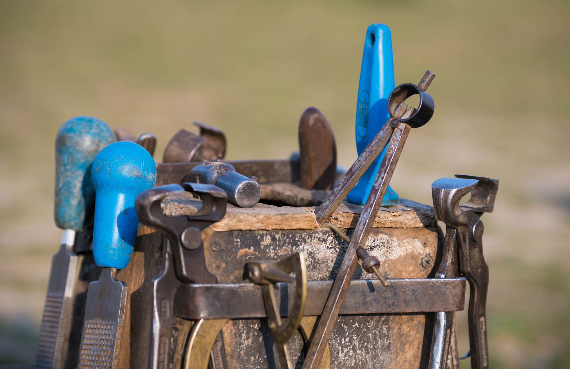 Kőhalmi Kálmán fotográfus fotográfus vizsgaremek 