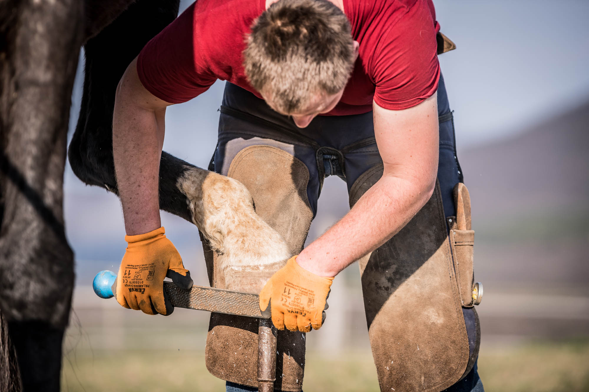 Kőhalmi Kálmán fotográfus fotográfus vizsgaremek 