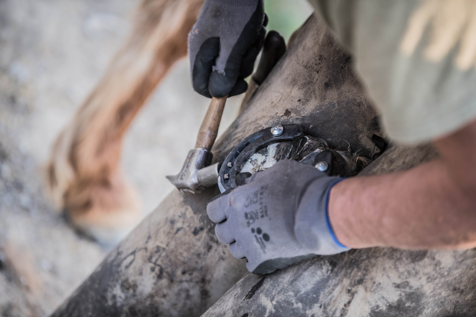 Kőhalmi Kálmán fotográfus fotográfus vizsgaremek 