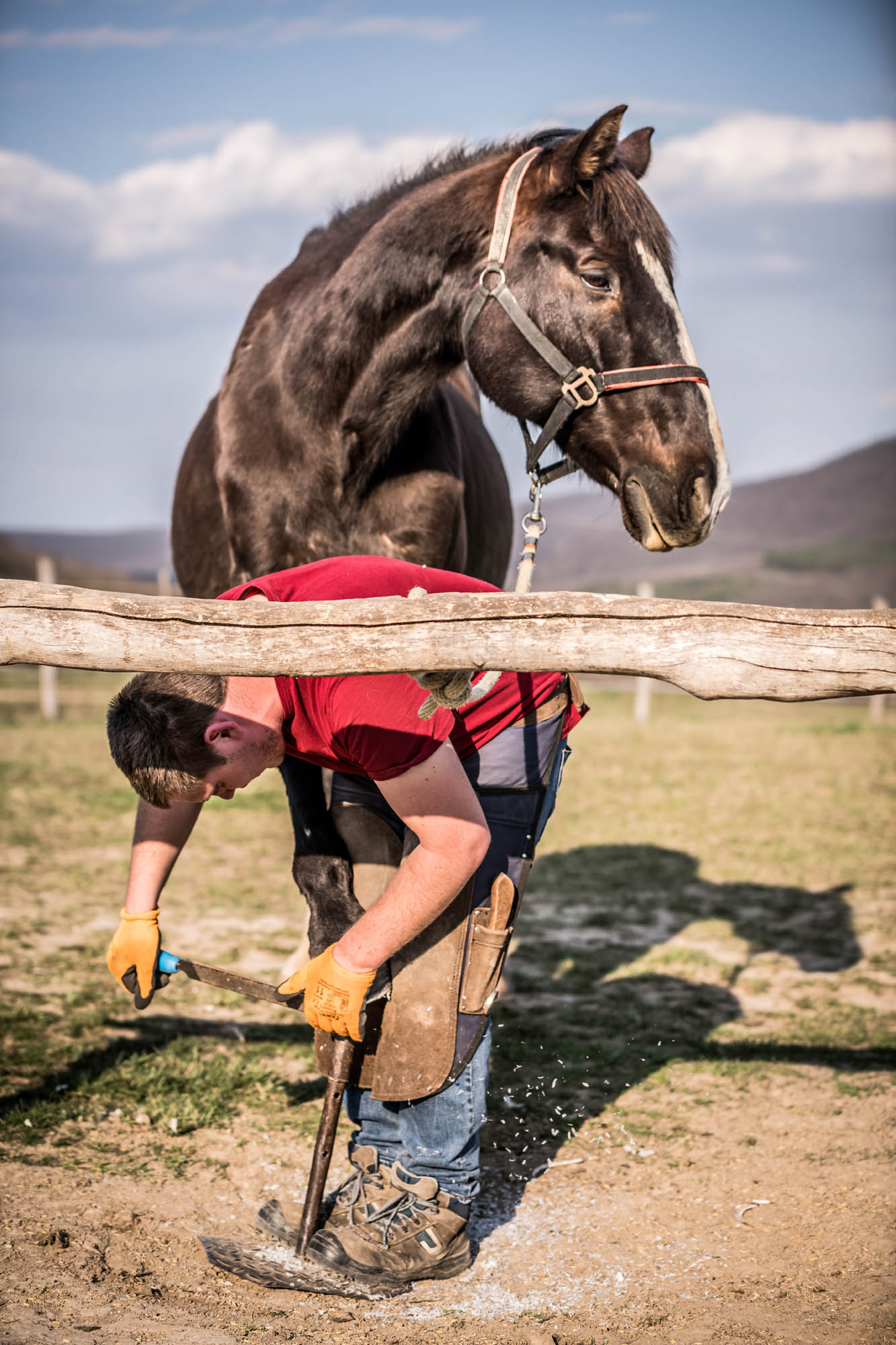 Kőhalmi Kálmán fotográfus fotográfus vizsgaremek 