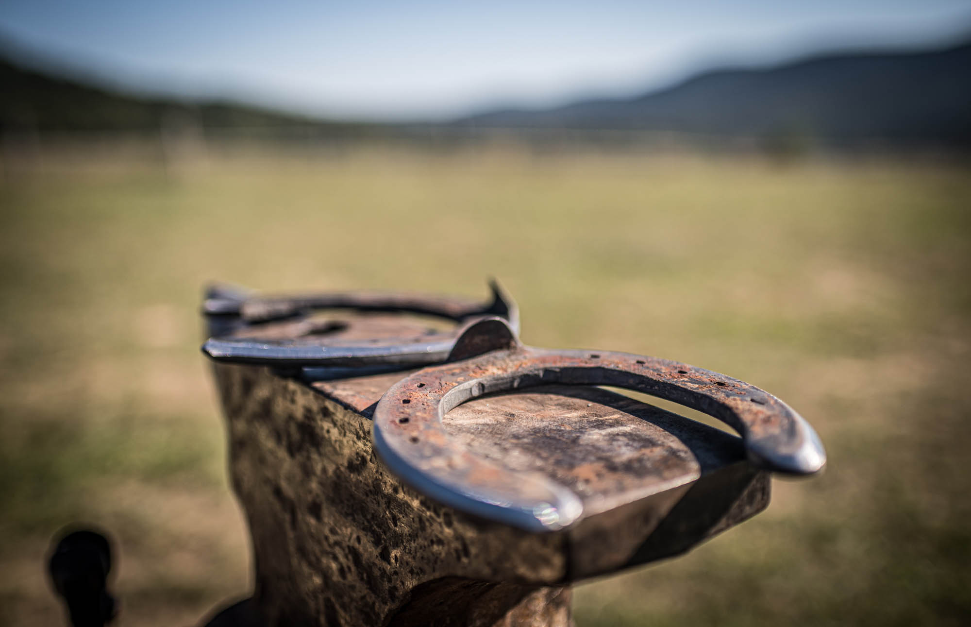 Kőhalmi Kálmán fotográfus fotográfus vizsgaremek 