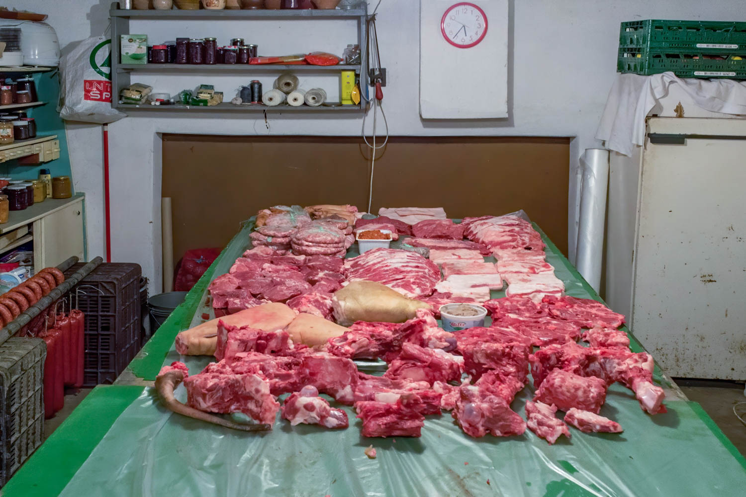 Palágyi Barbara fotográfus fotográfus vizsgaremek 