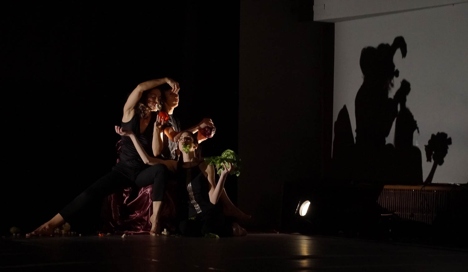 Palágyi Barbara fotográfus fotográfus vizsgaremek 