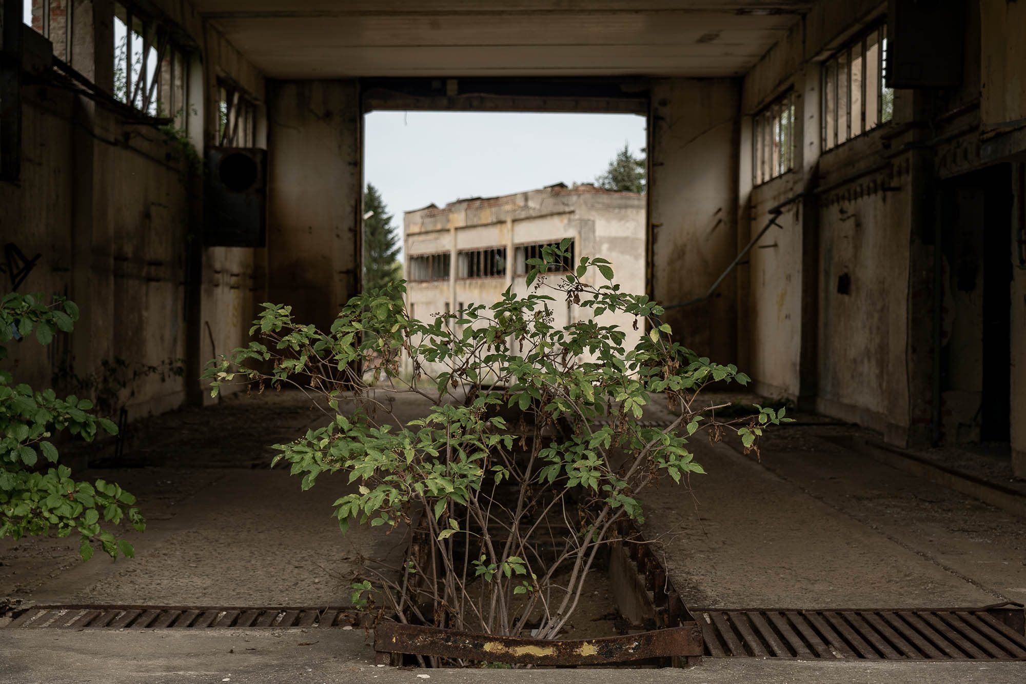 Palágyi Barbara fotográfus fotográfus vizsgaremek 