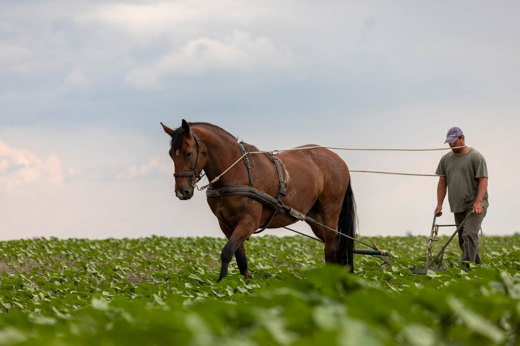 Sastinszki Dániel fotográfus fotográfus vizsgaremek 