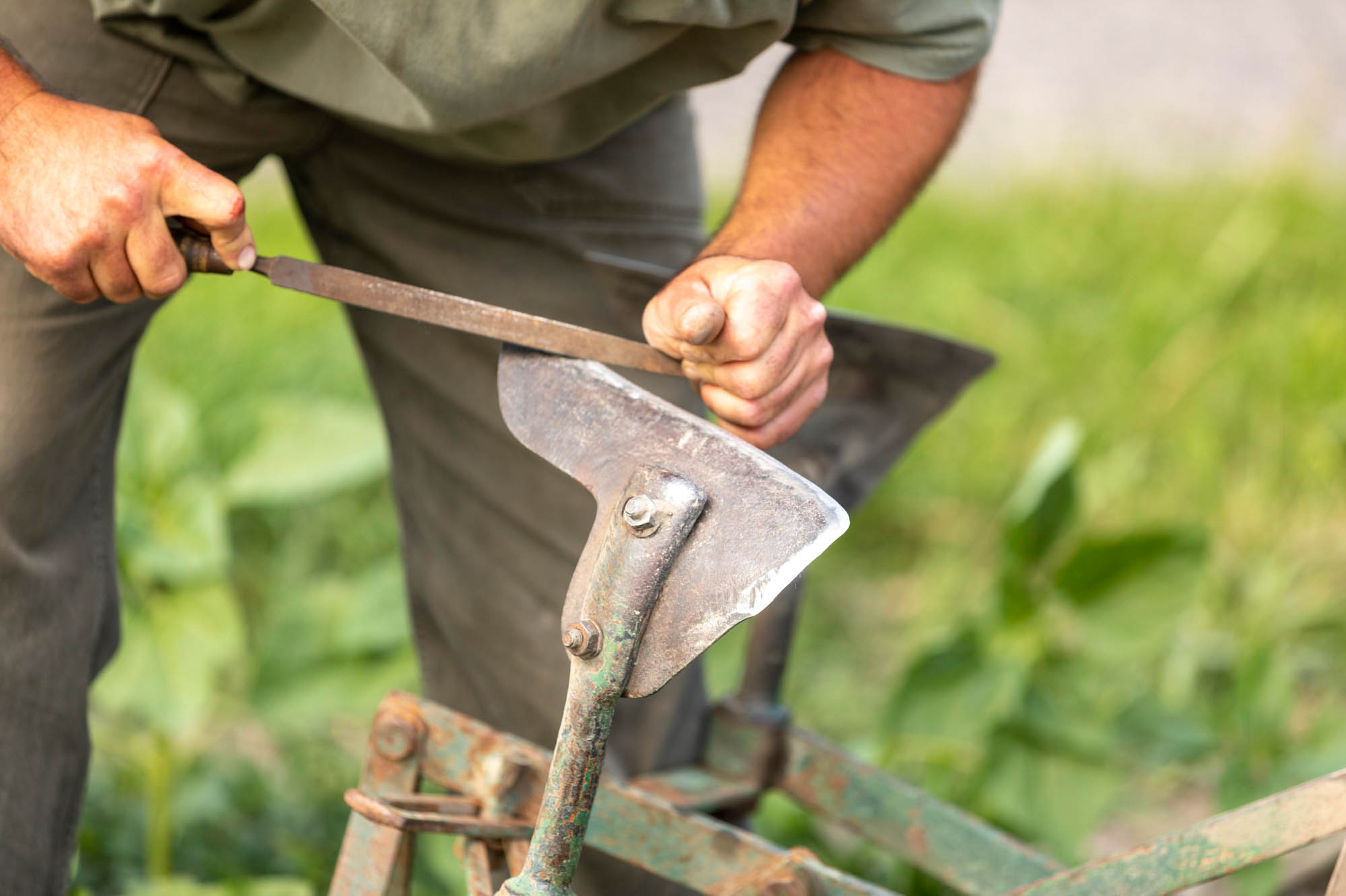 Sastinszki Dániel fotográfus fotográfus vizsgaremek 