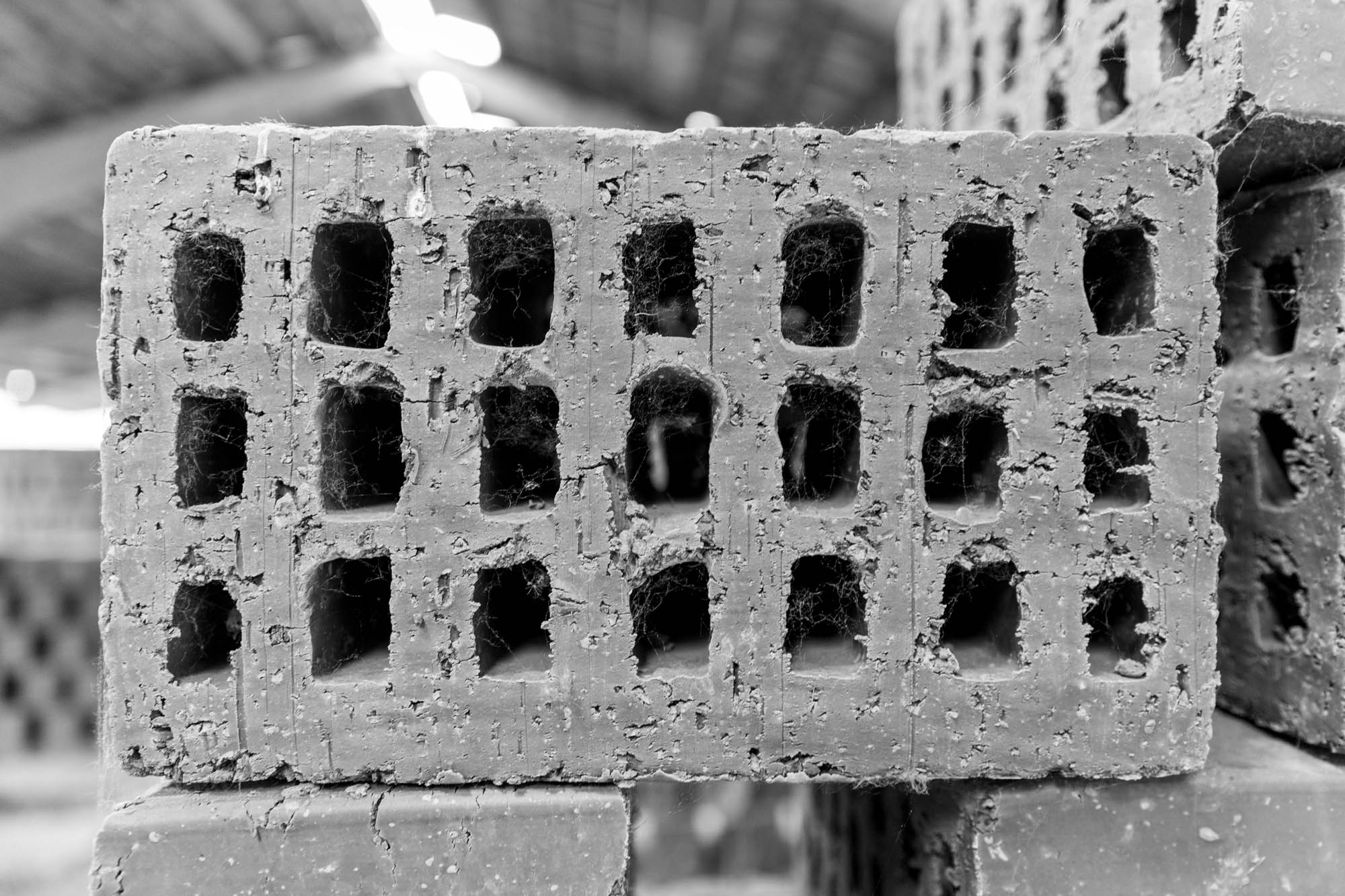 Sastinszki Dániel fotográfus fotográfus vizsgaremek 