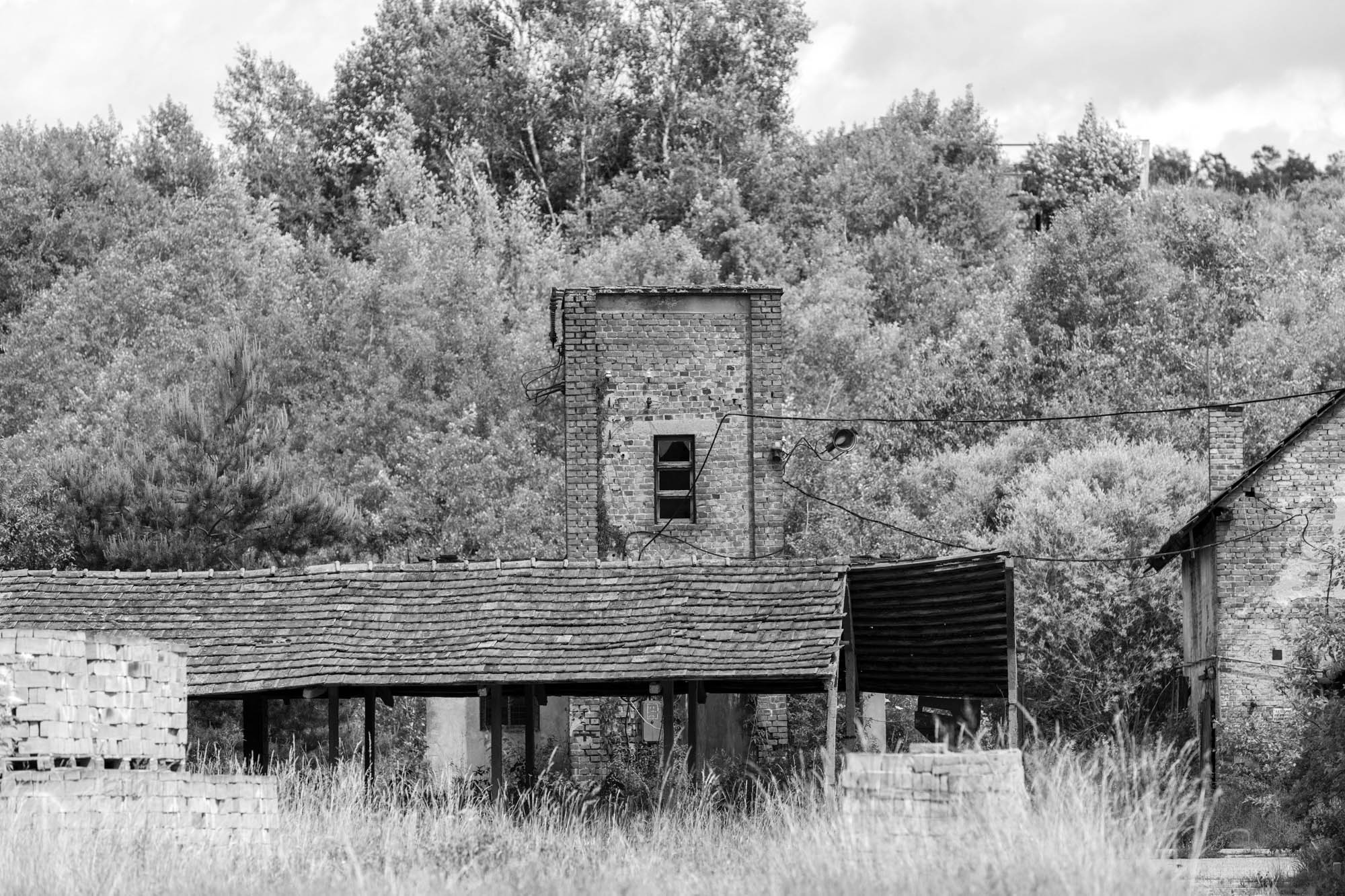 Sastinszki Dániel fotográfus fotográfus vizsgaremek 