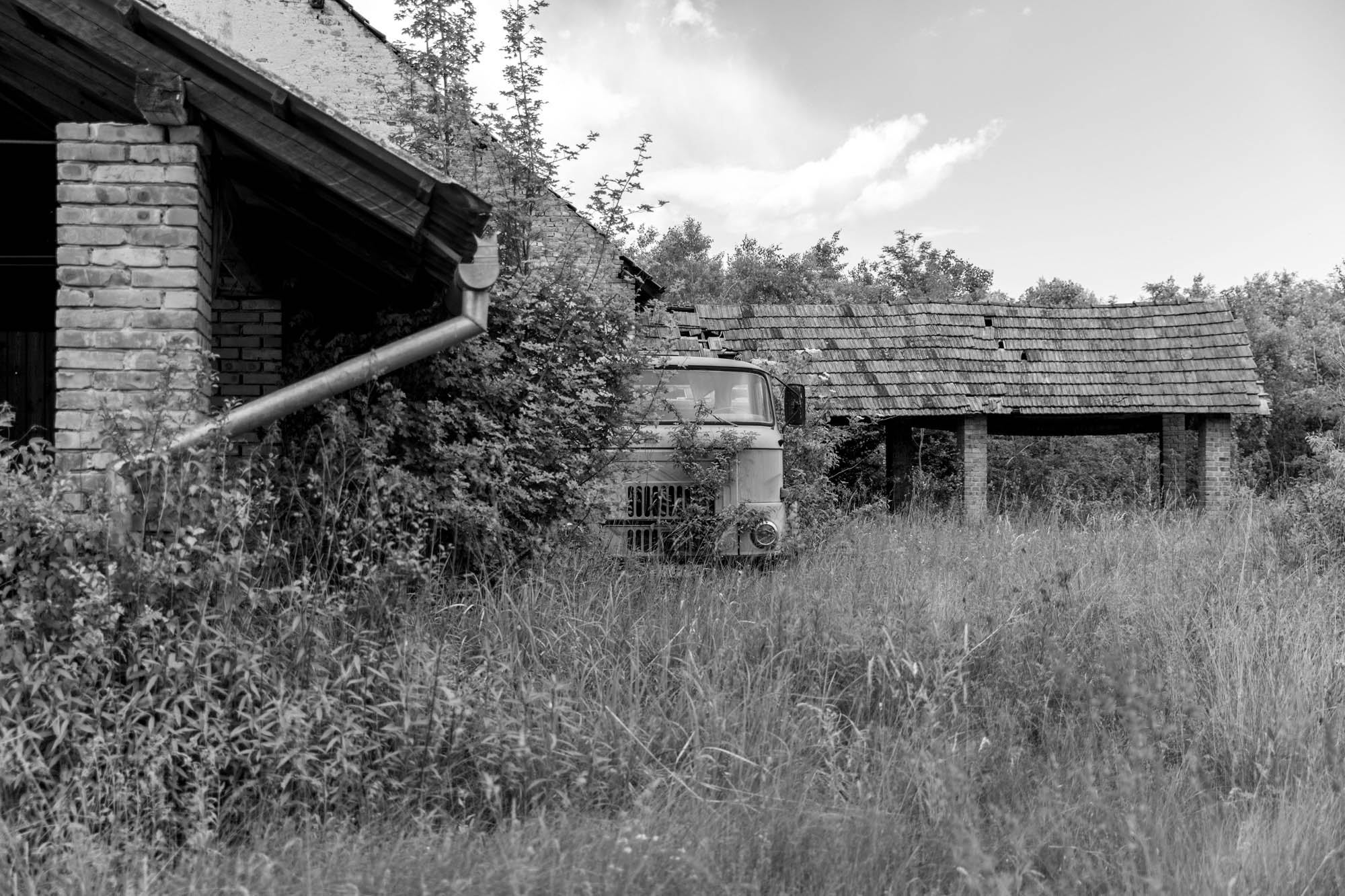 Sastinszki Dániel fotográfus fotográfus vizsgaremek 