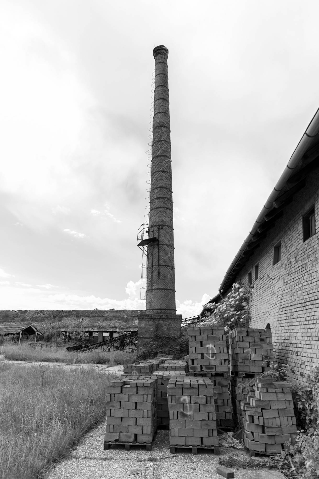 Sastinszki Dániel fotográfus fotográfus vizsgaremek 