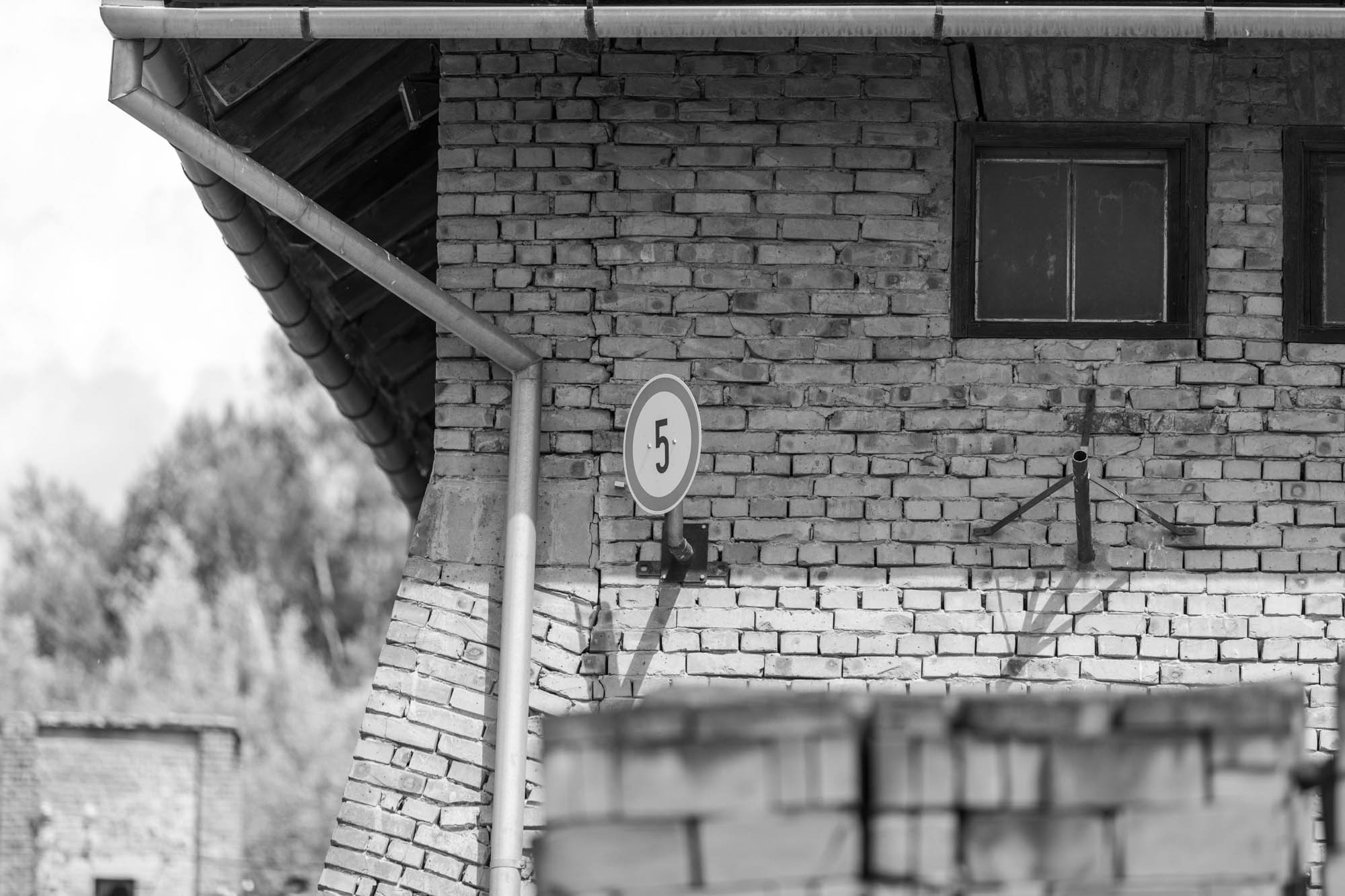 Sastinszki Dániel fotográfus fotográfus vizsgaremek 