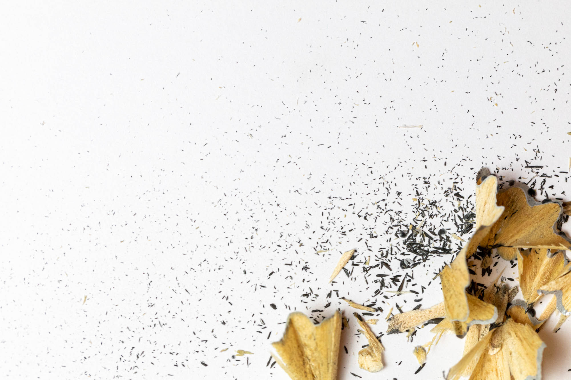 Sastinszki Dániel fotográfus fotográfus vizsgaremek 