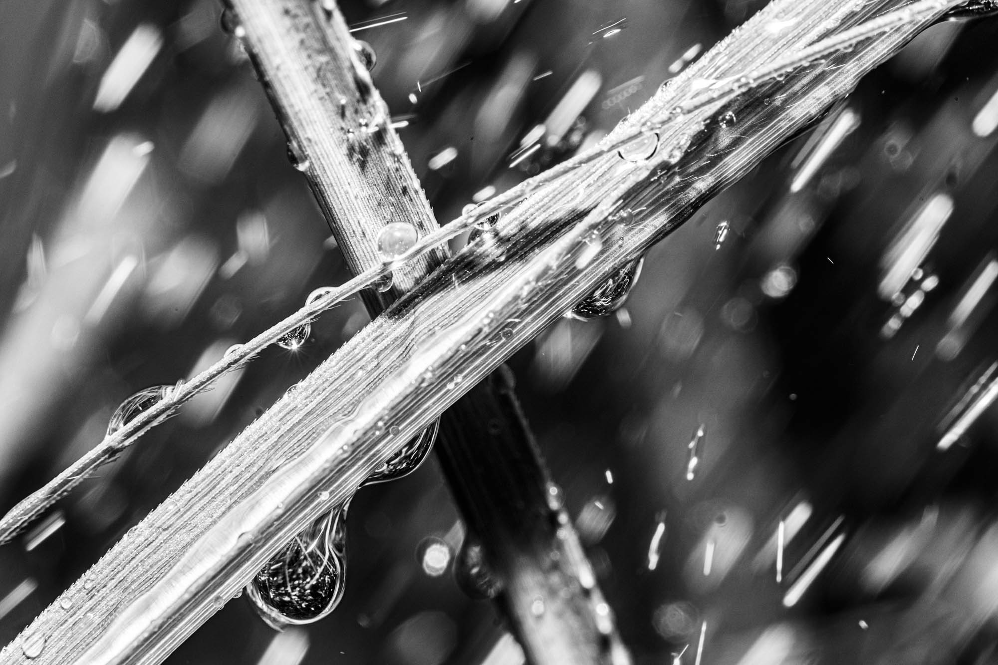 Sastinszki Dániel fotográfus fotográfus vizsgaremek 