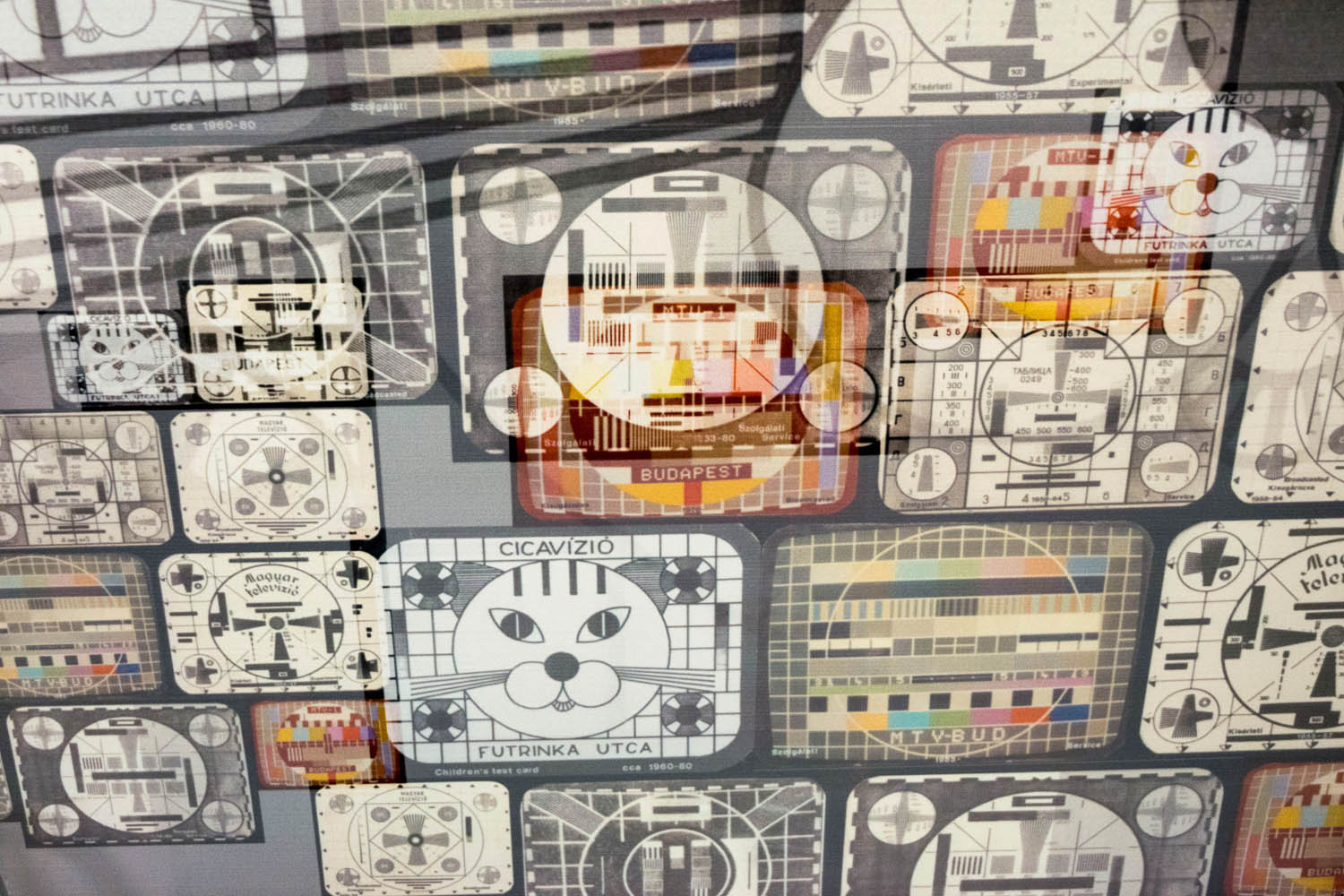 Wieszt János fotográfus fotográfus vizsgaremek 