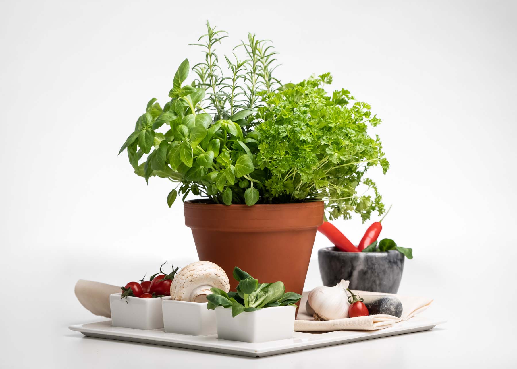 Bodor Péter fotográfus fotográfus vizsgaremek 