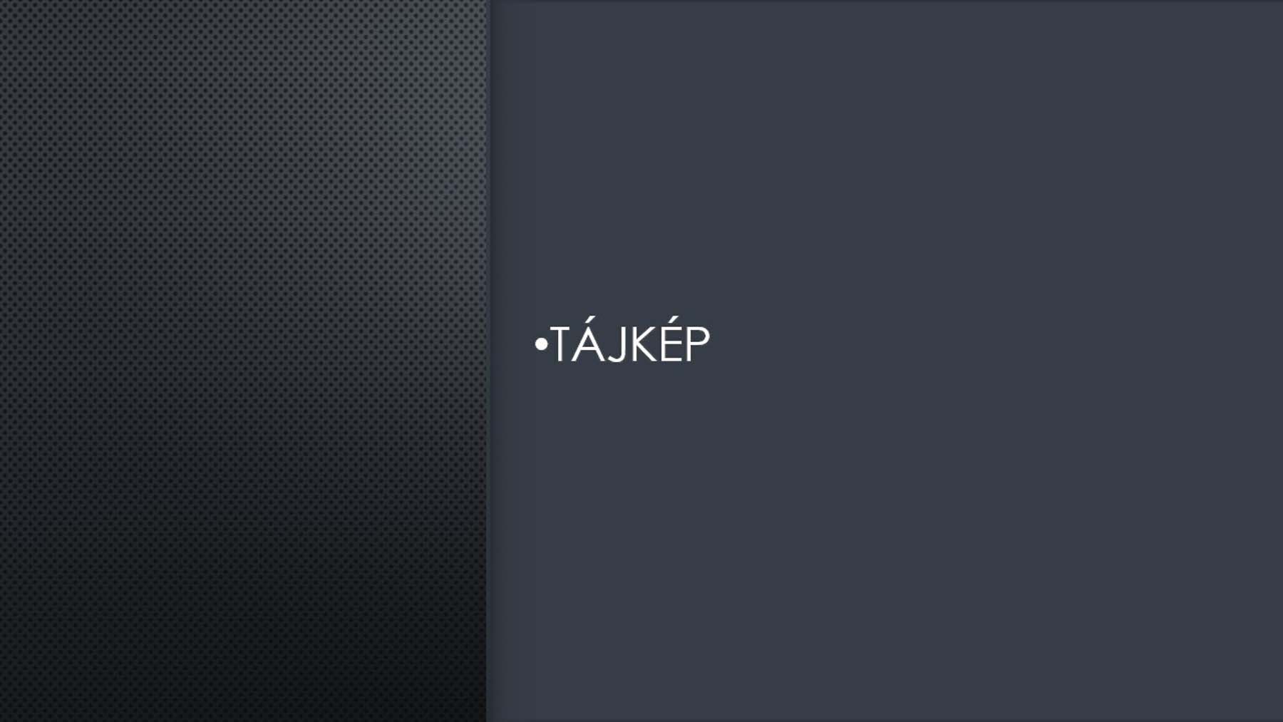 Bodor Péter fotográfus fotográfus vizsgaremek 