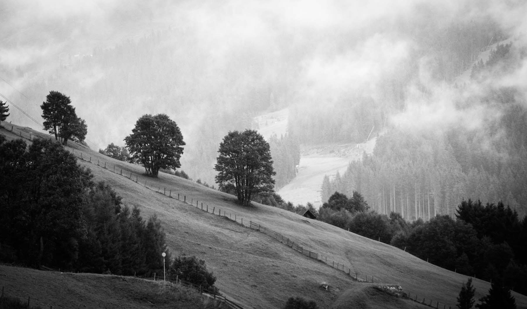 Bodor Péter fotográfus fotográfus vizsgaremek 