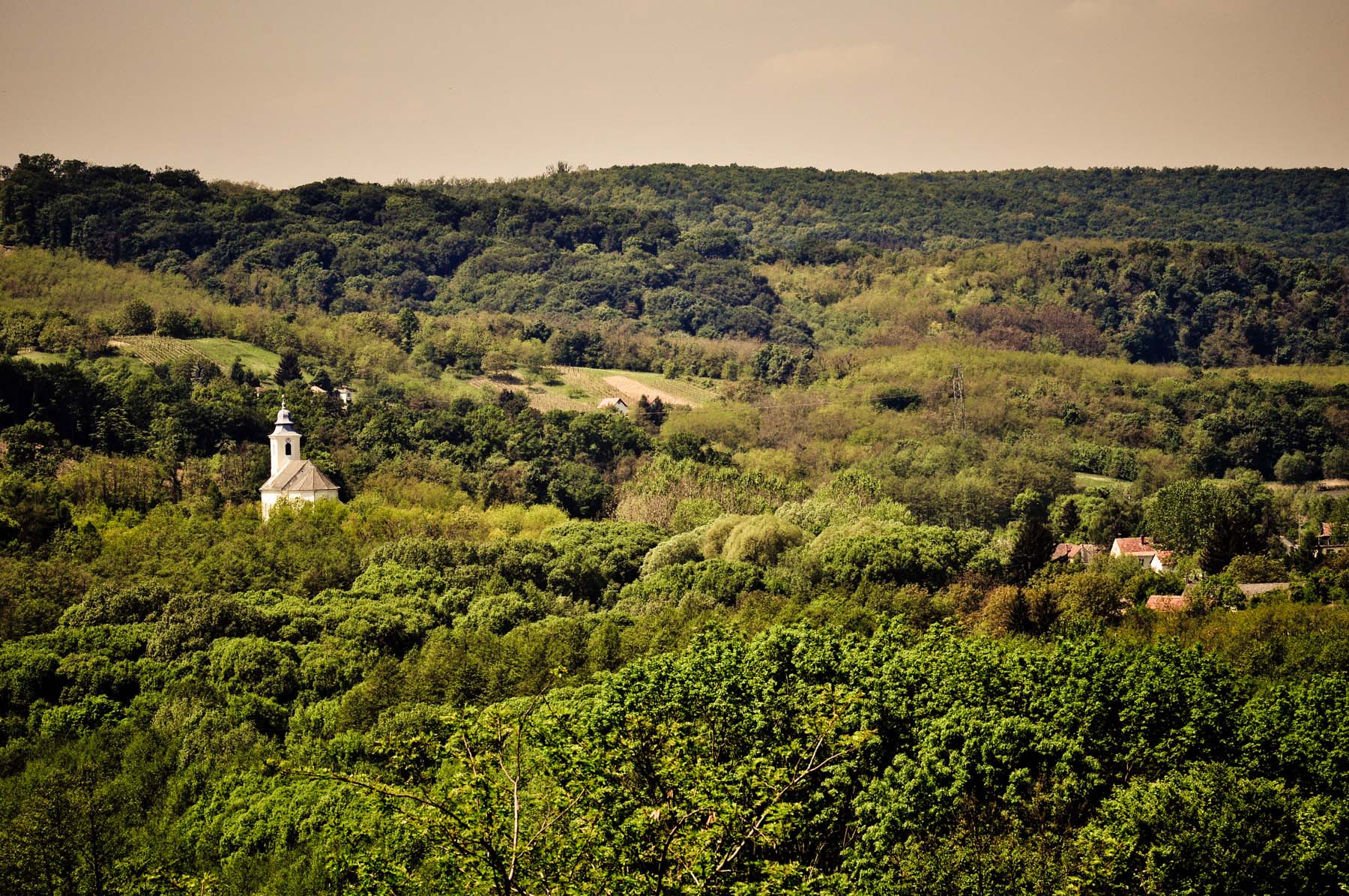 Bodor Péter fotográfus fotográfus vizsgaremek 