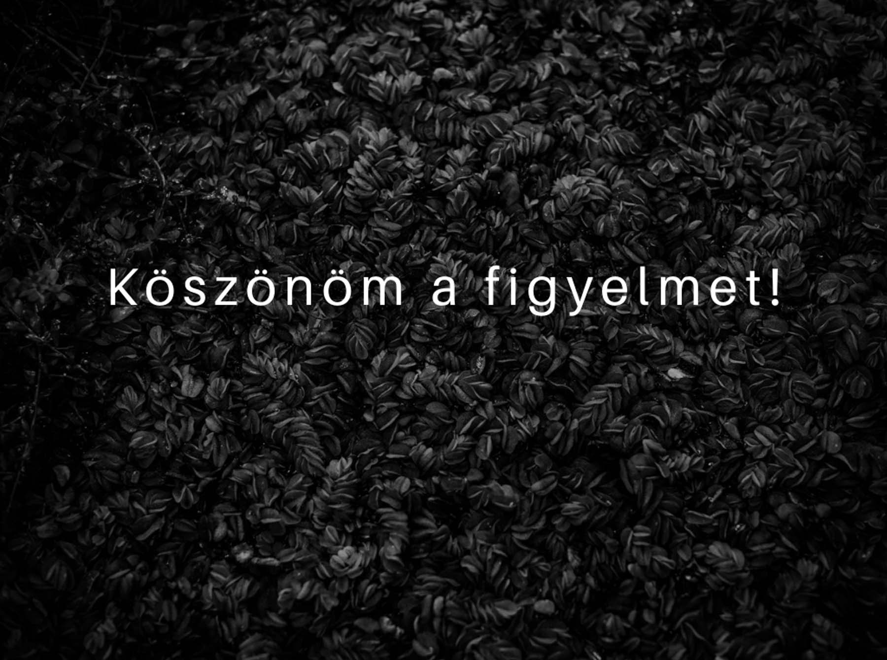 Chalhoub Emil fotográfus fotográfus vizsgaremek 