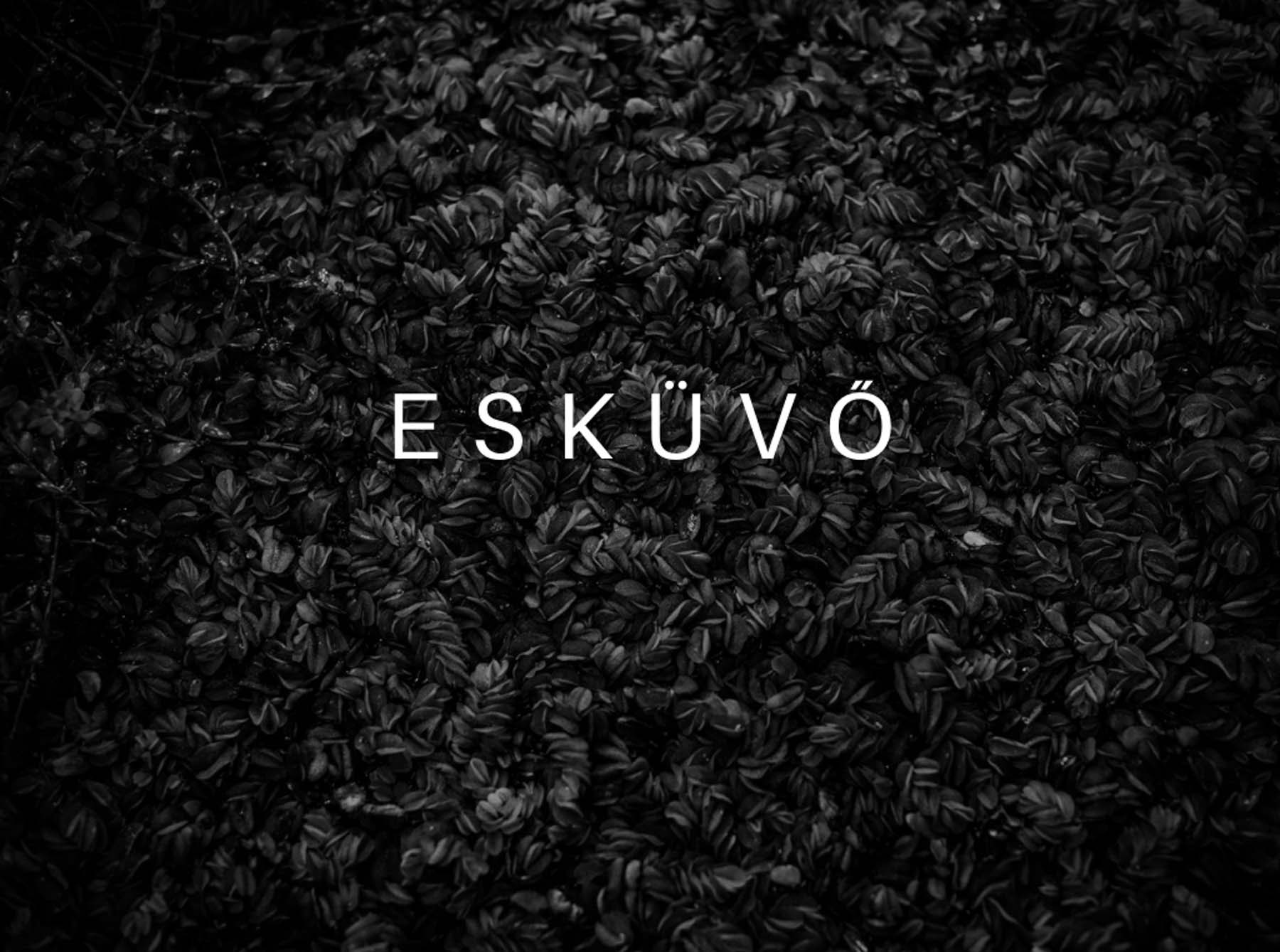 Chalhoub Emil fotográfus fotográfus vizsgaremek 