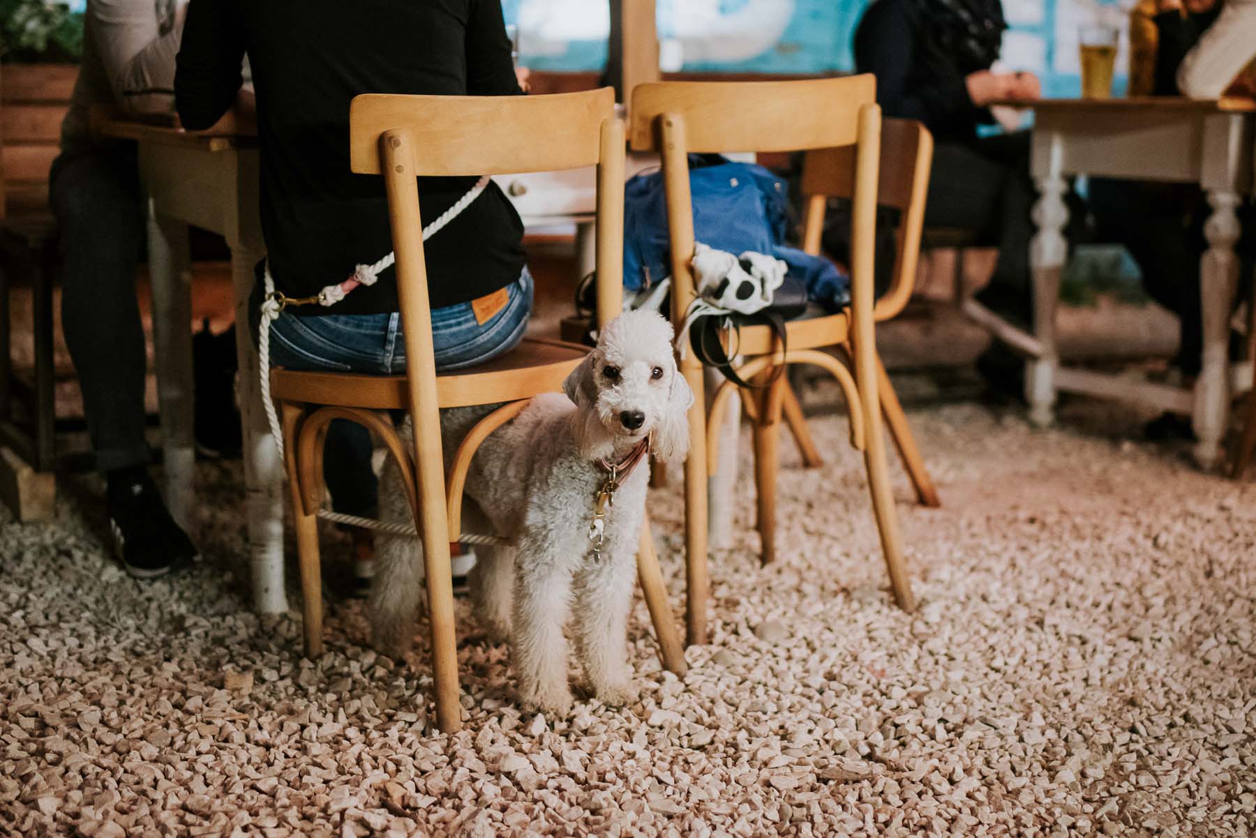 Chalhoub Emil fotográfus fotográfus vizsgaremek 