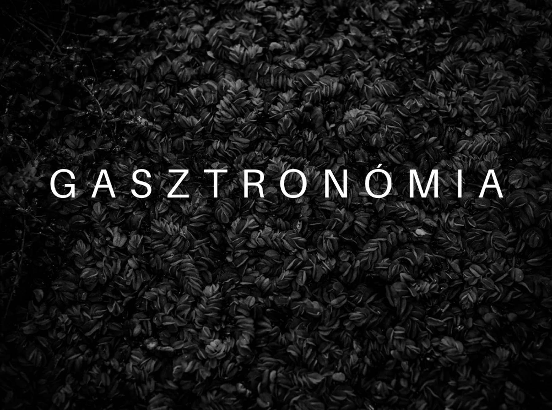 Chalhoub Emil fotográfus fotográfus vizsgaremek 