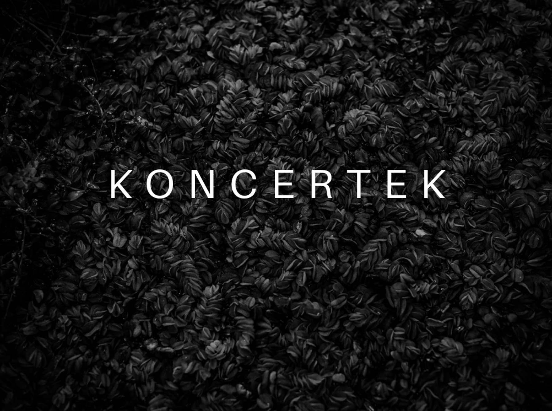 Chalhoub Emil fotográfus fotográfus vizsgaremek 