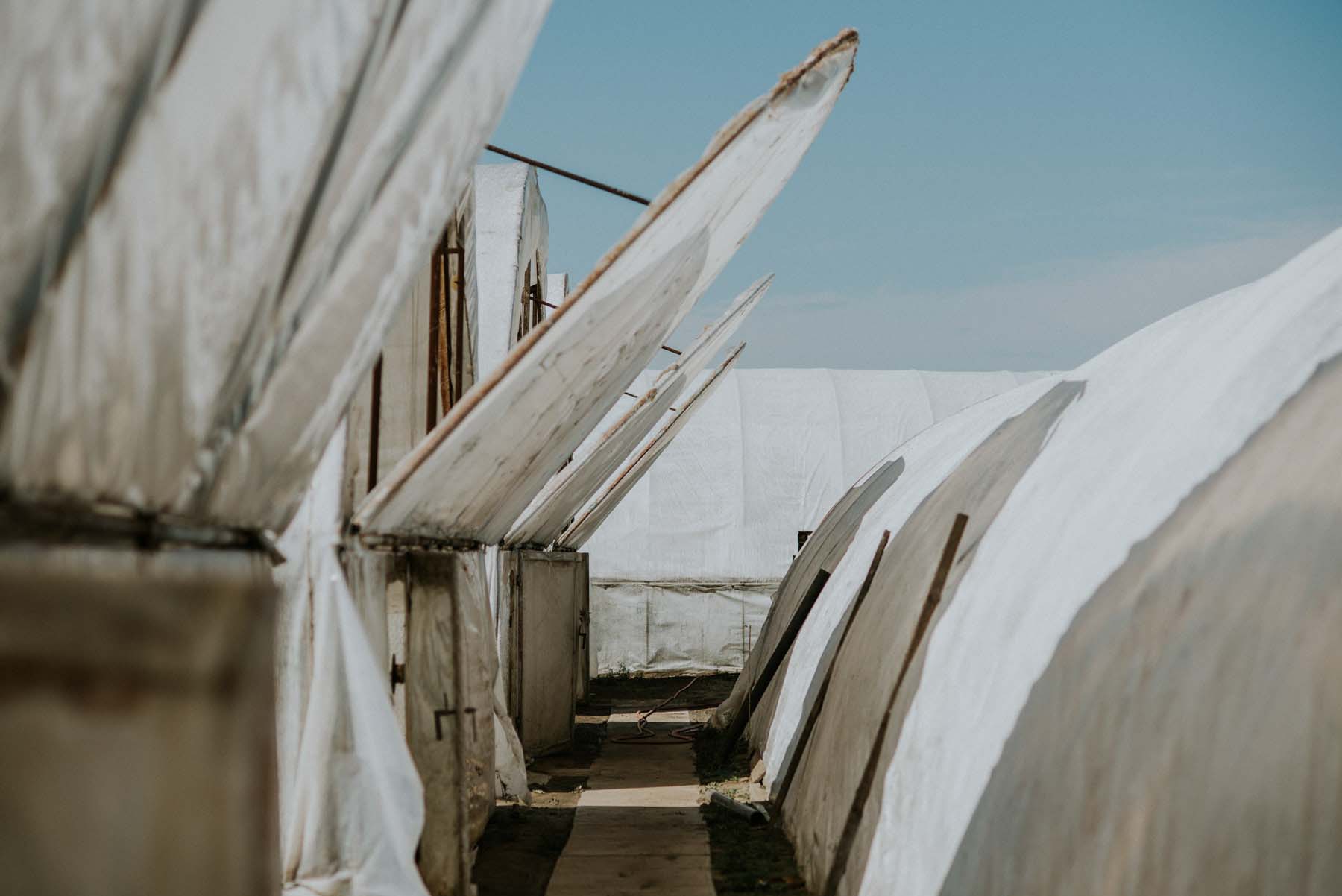 Chalhoub Emil fotográfus fotográfus vizsgaremek 