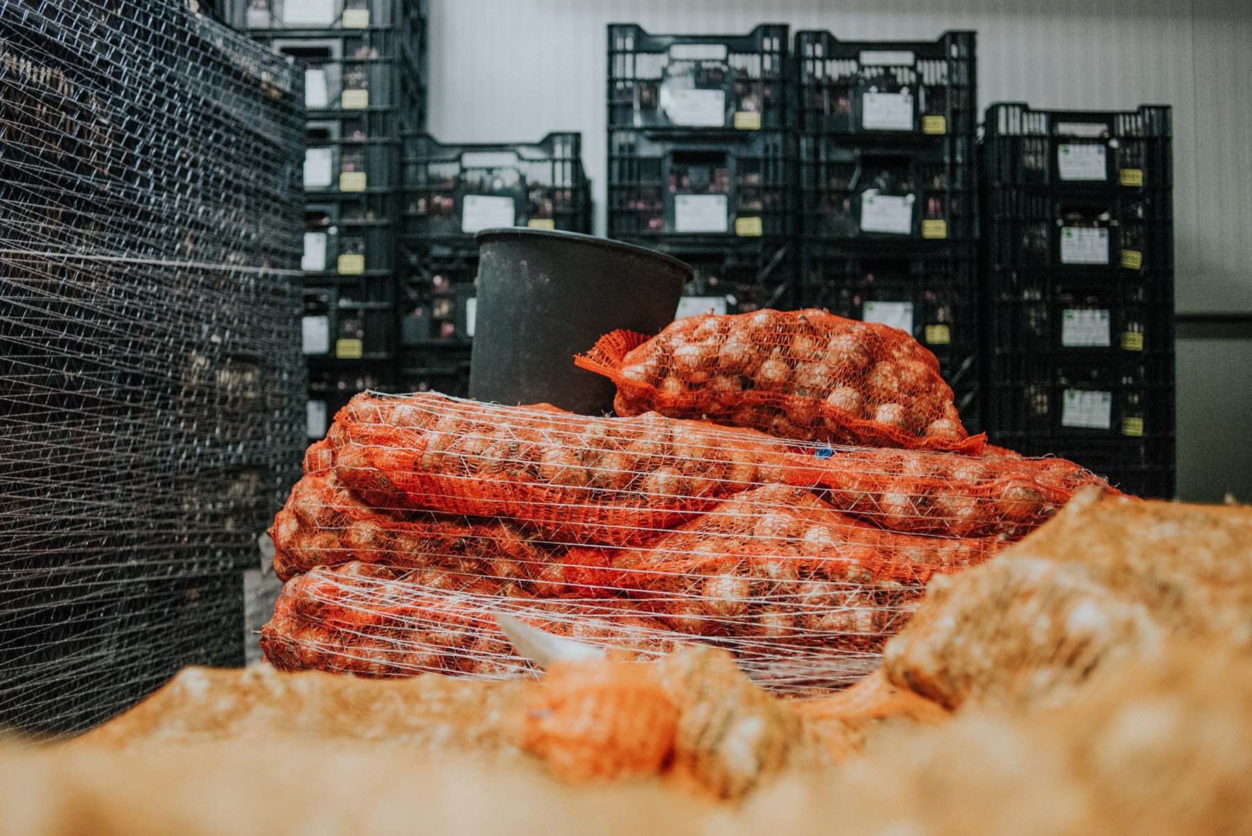 Chalhoub Emil fotográfus fotográfus vizsgaremek 