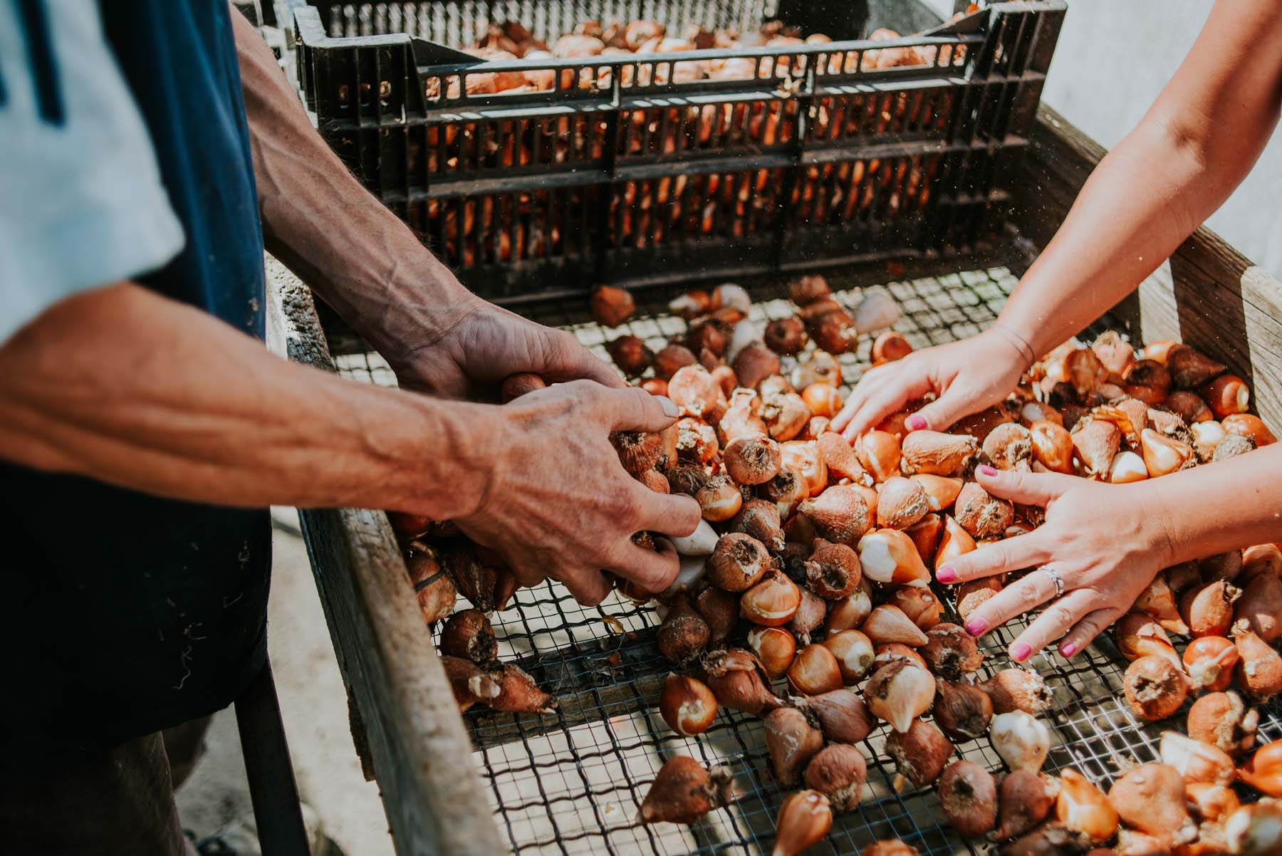 Chalhoub Emil fotográfus fotográfus vizsgaremek 