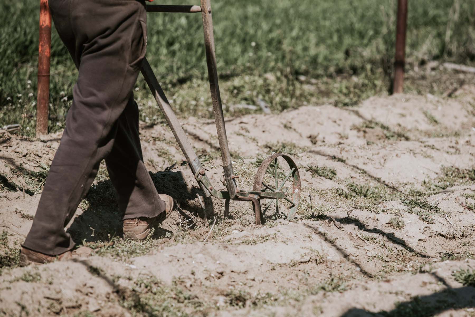 Chalhoub Emil fotográfus fotográfus vizsgaremek 