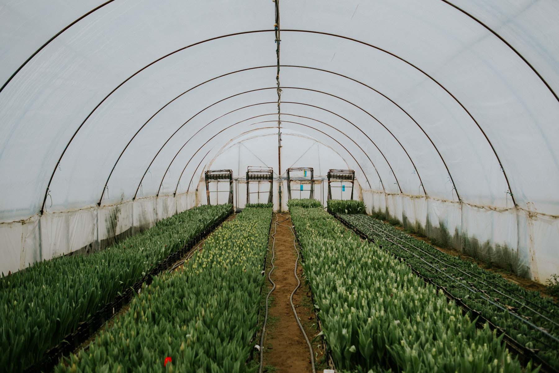Chalhoub Emil fotográfus fotográfus vizsgaremek 