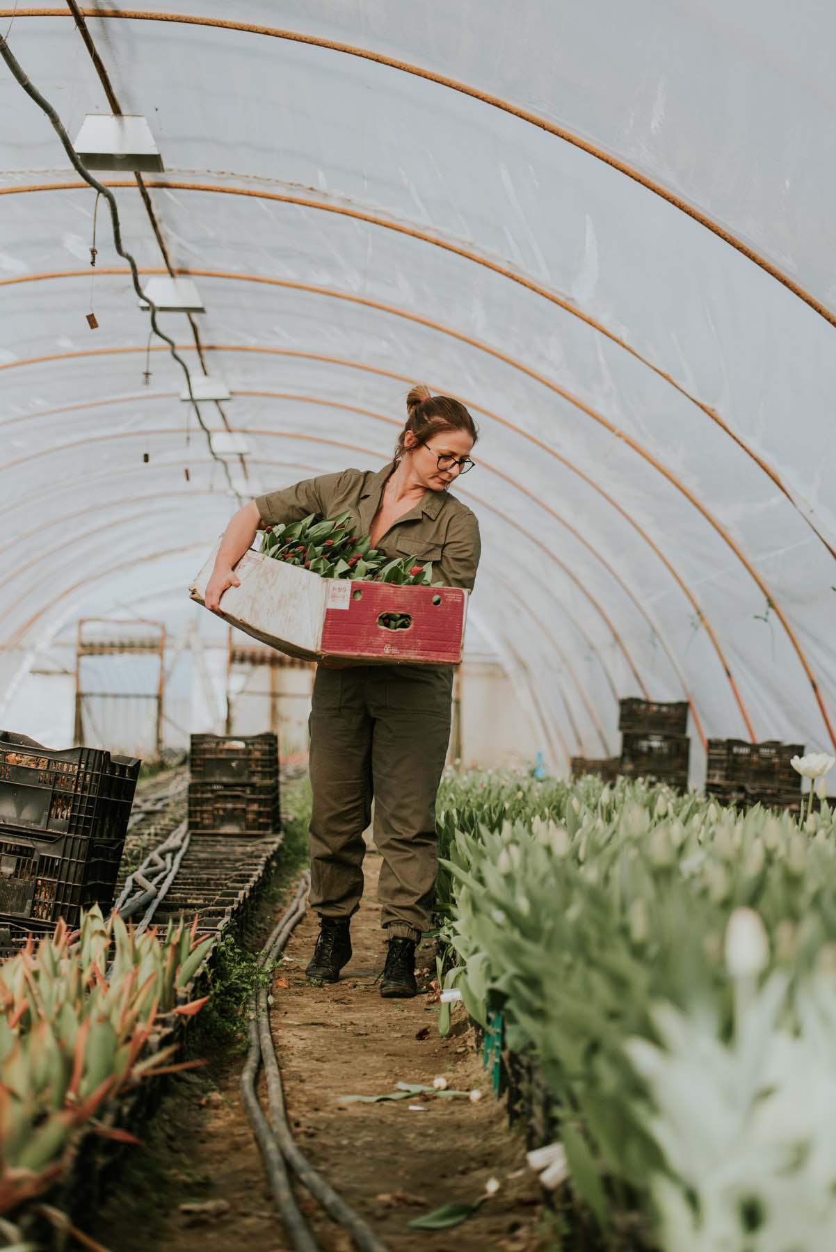 Chalhoub Emil fotográfus fotográfus vizsgaremek 