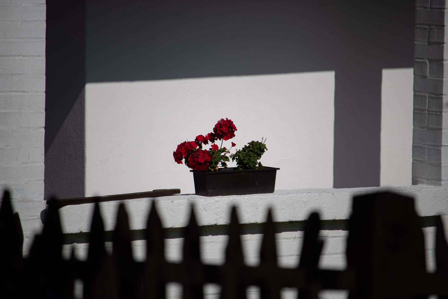 Czakó Tímea fotográfus fotográfus vizsgaremek 