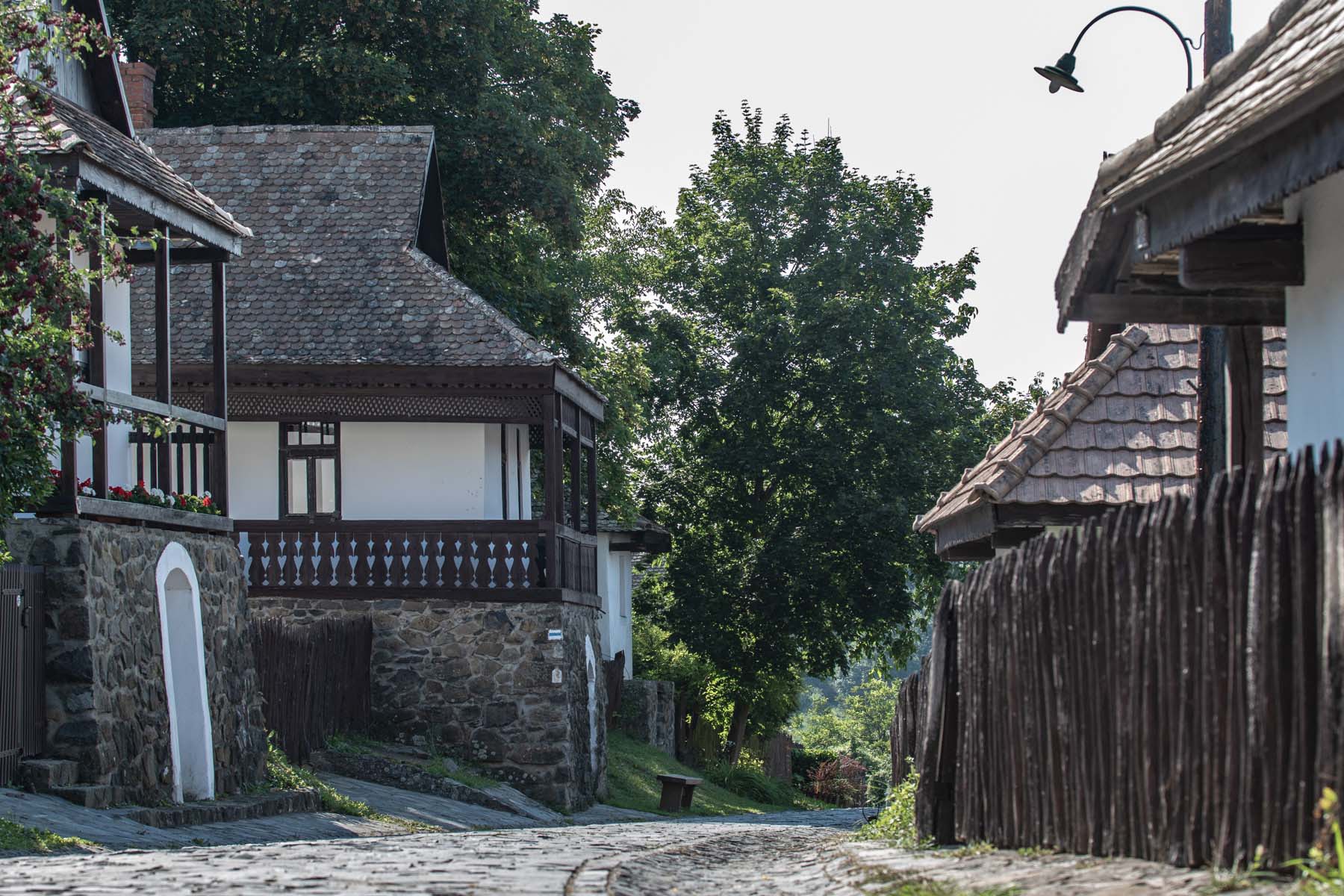 Kováts Zsófia fotográfus fotográfus vizsgaremek 