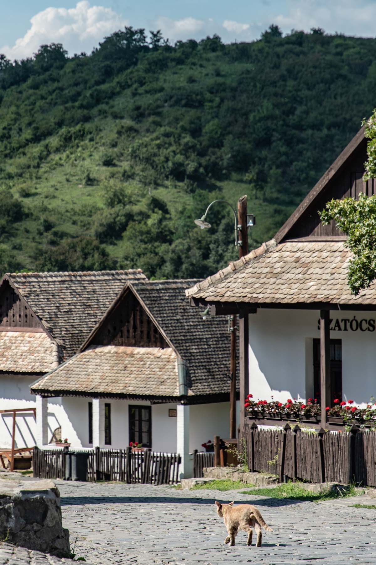 Kováts Zsófia fotográfus fotográfus vizsgaremek 