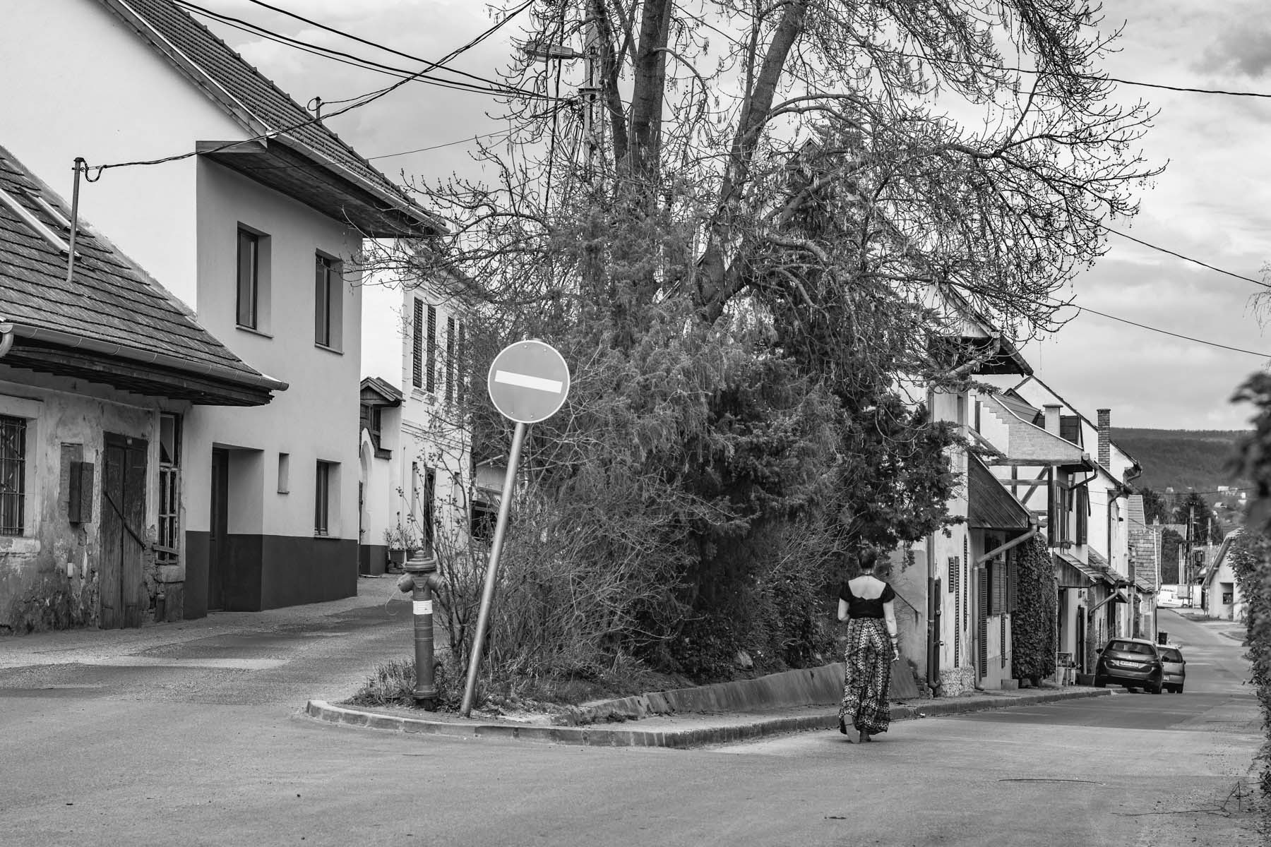 Kováts Zsófia fotográfus fotográfus vizsgaremek 