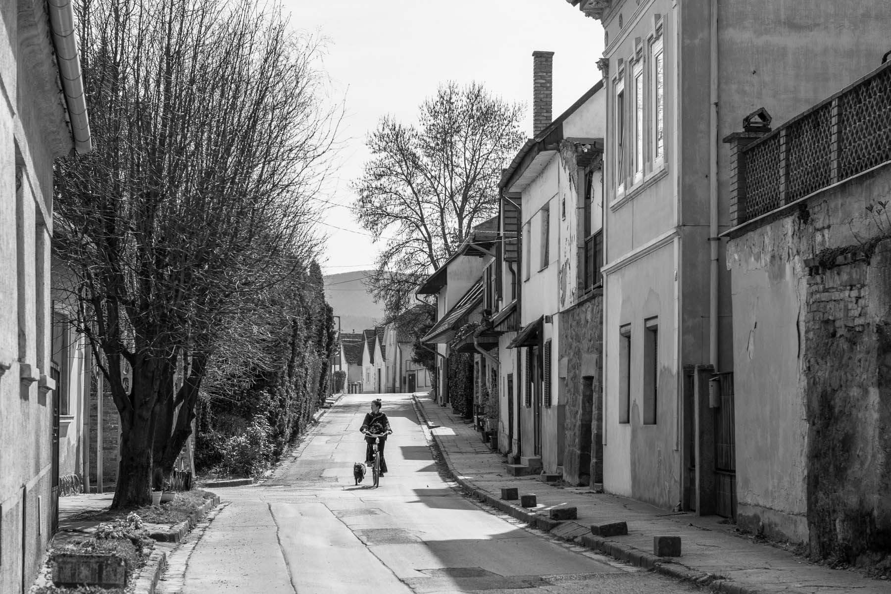 Kováts Zsófia fotográfus fotográfus vizsgaremek 