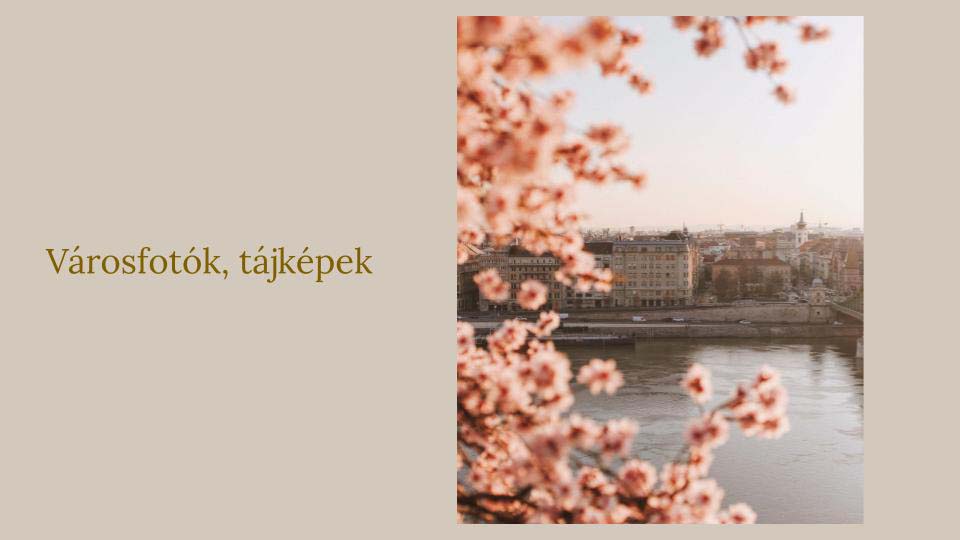 Stein Zsófia fotográfus fotográfus vizsgaremek 