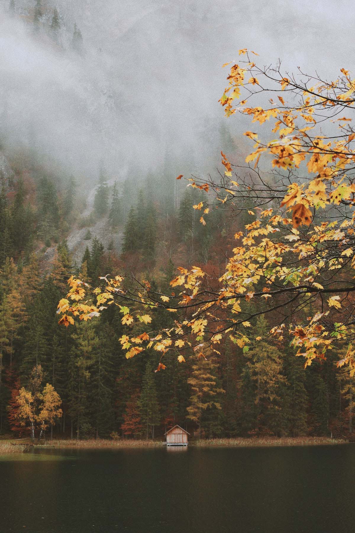Stein Zsófia fotográfus fotográfus vizsgaremek 