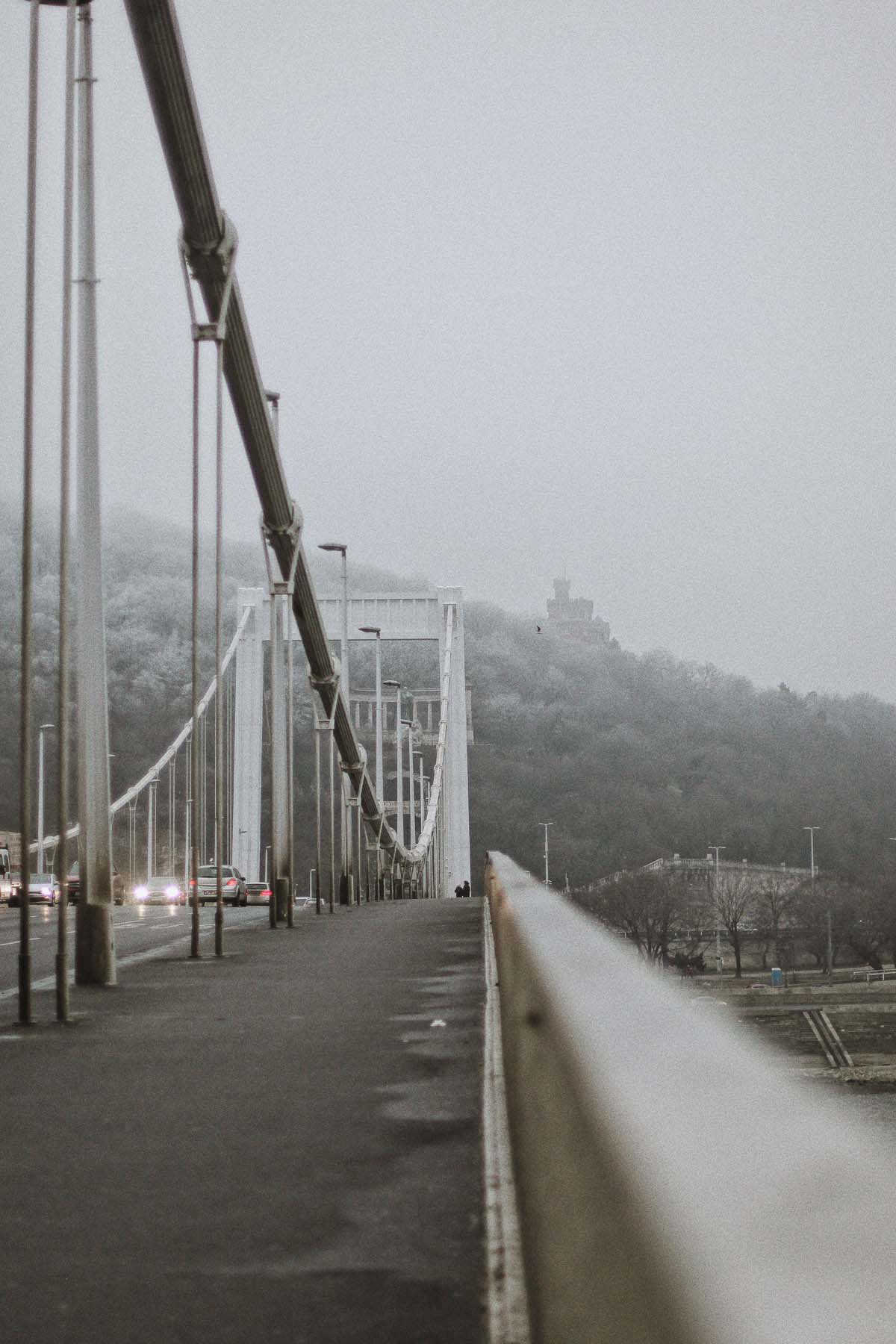 Stein Zsófia fotográfus fotográfus vizsgaremek 