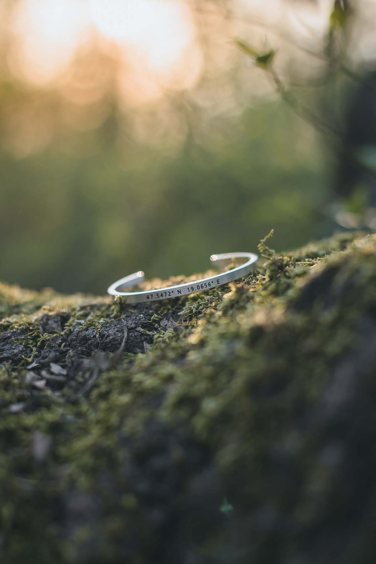 Stein Zsófia fotográfus fotográfus vizsgaremek 