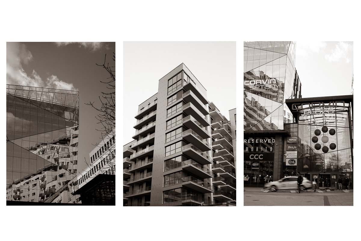 Stein Zsófia fotográfus fotográfus vizsgaremek 